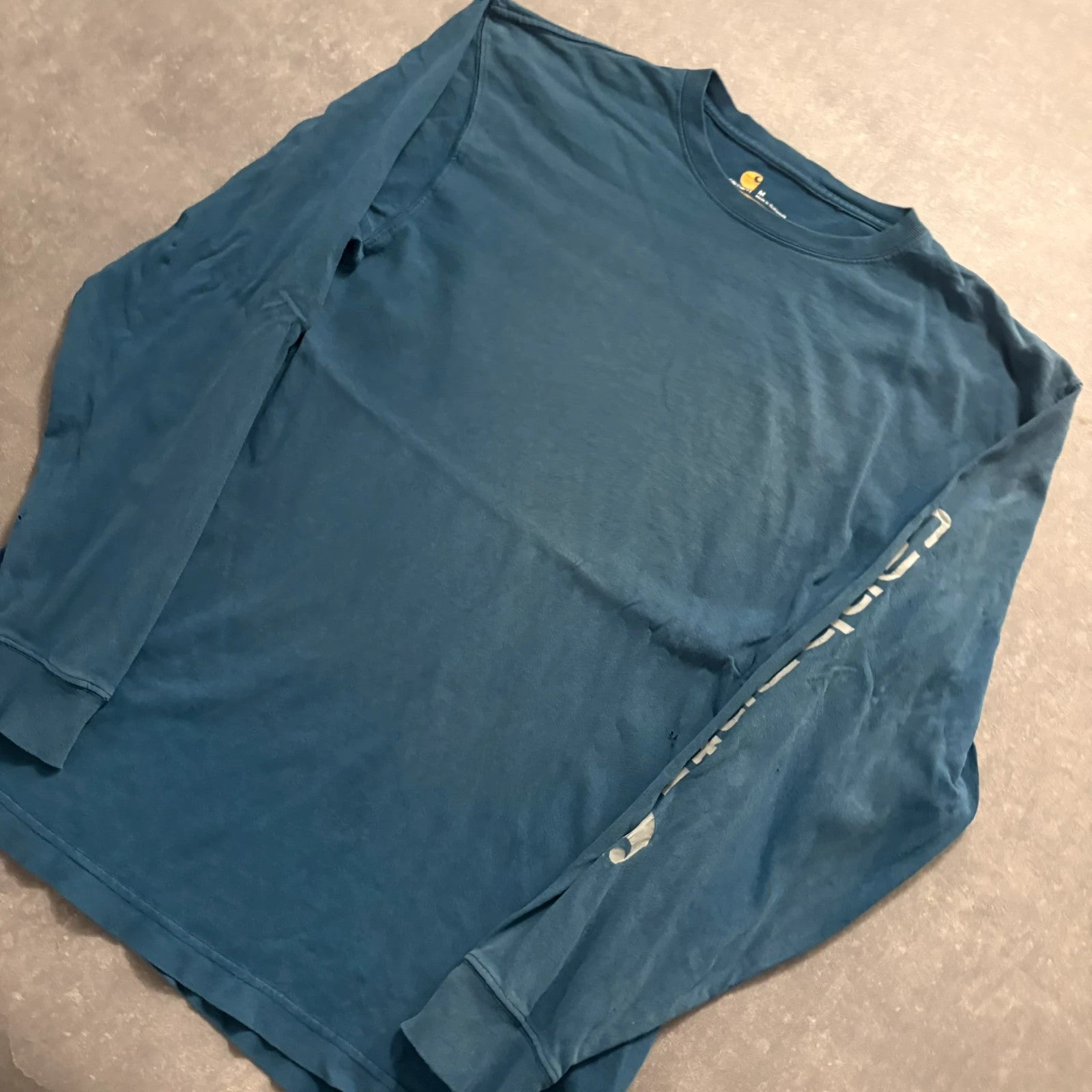 Carhartt Blue Sleeve Spellout Long Sleeve T-Shirt Mens Medium Workwear Casual